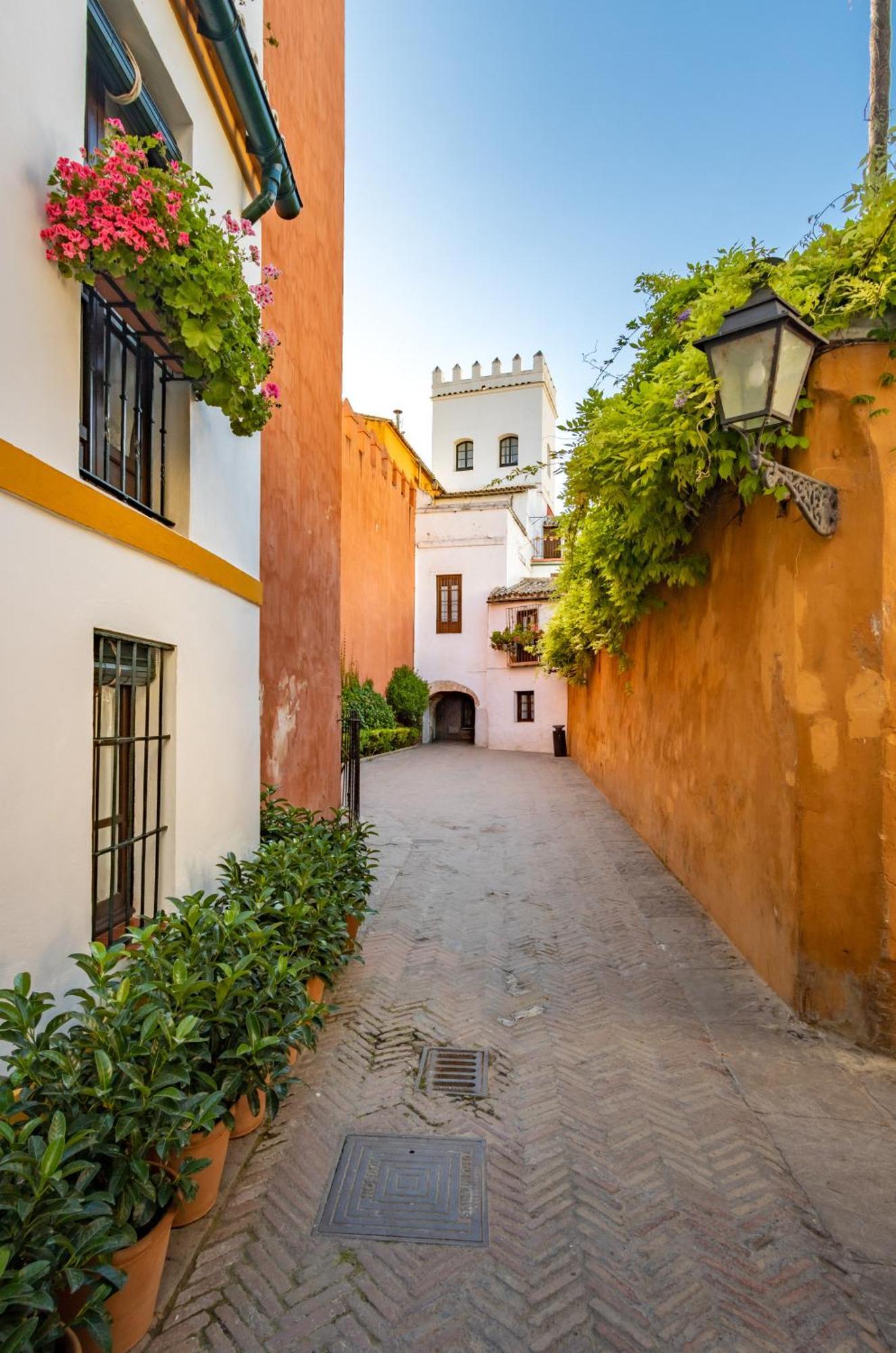 Encantador Apartamento A Un Paso De La Catedral Siviglia Esterno foto